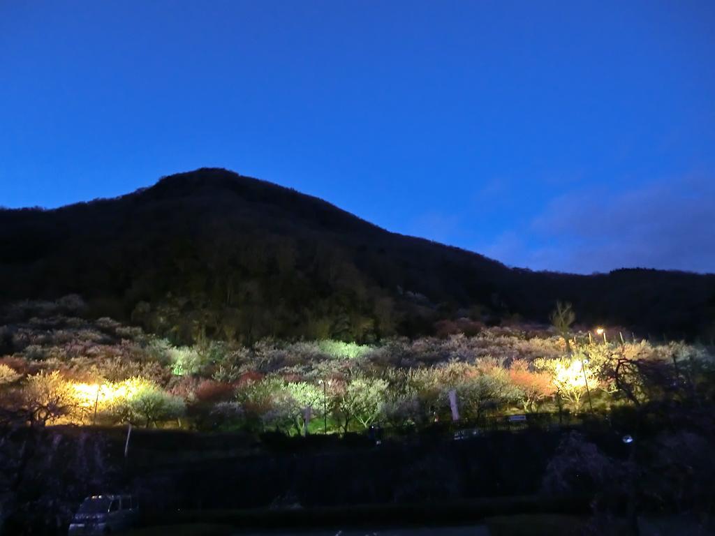 Yugawara Onsen Kawasegien Isuzu Hotel Atami  Extérieur photo