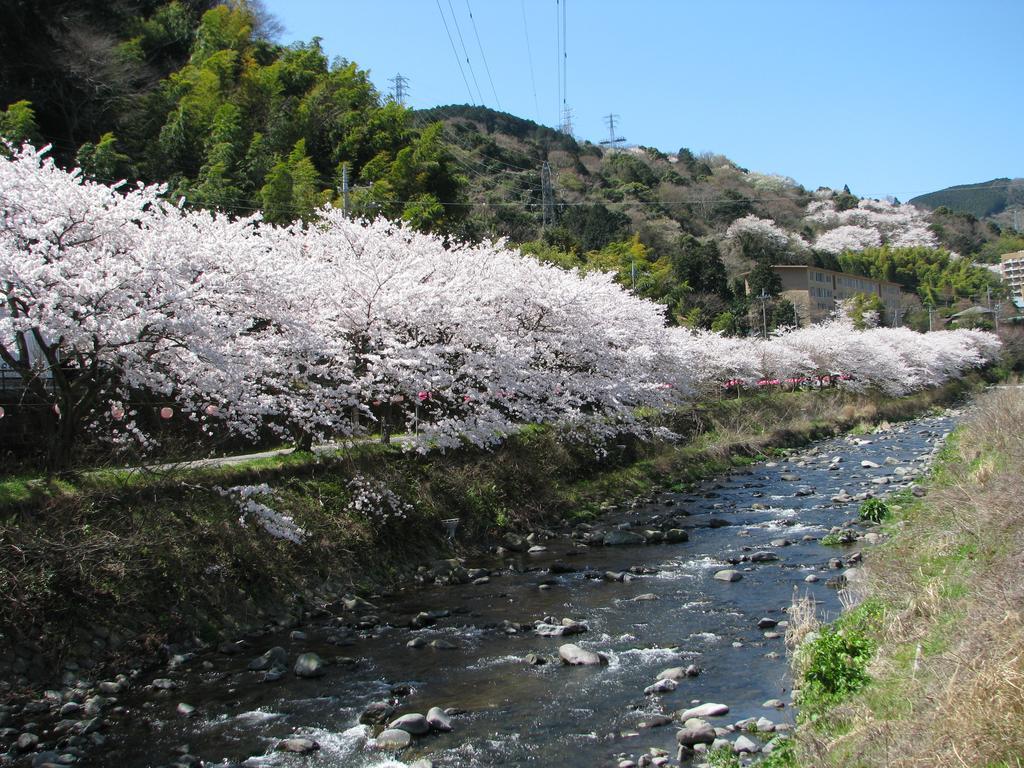 Yugawara Onsen Kawasegien Isuzu Hotel Atami  Extérieur photo