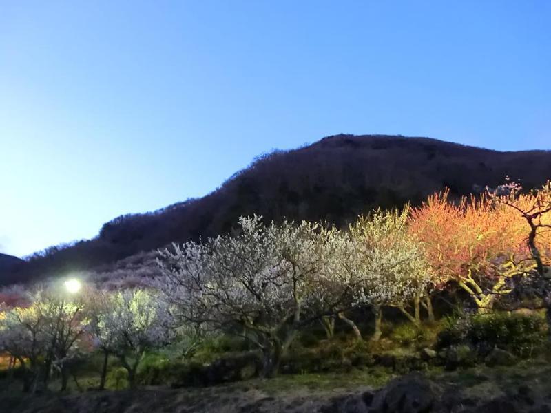 Yugawara Onsen Kawasegien Isuzu Hotel Atami  Extérieur photo